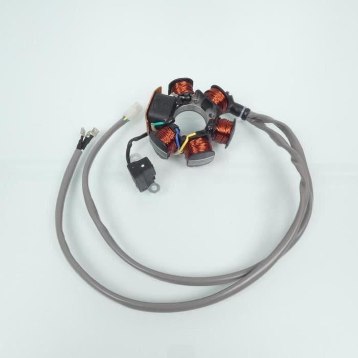 Stator + Rotor D'allumage 6 Pôles Pour Gilera DNA Runner 50 NM – Pièce Neuve, Marque Générique