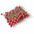 150pcs fruits rouges fleur Houx baies artificielle auswählen décoration à Noël bricolage  FLEUR-PLANTE ARTIFICIELLE - FLEUR SECHEE-3
