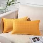 TOPFINEL Housse de Coussin 40x60 Décorative Chambre Set de 2 Velours Doux Gros Housses Coussins Canapé Salon Scandinave Bohème