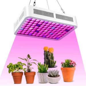 Auveach 600 W Lampes pour plantes LED Culture Grow Light Lumière Culture Indoor Semence Croissance pour Plantes Indoor Légumes et Fleurs 