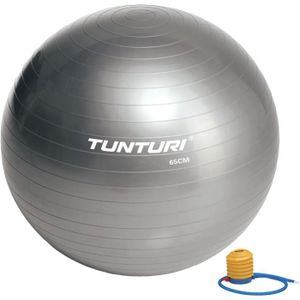 BALLON SUISSE-GYM BALL Ballon de gym TUNTURI 65cm - Usage intensif - Couleur argent