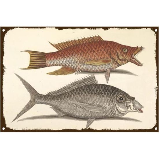 Poisson dansant électronique Petmi Gravity | Terre Animale