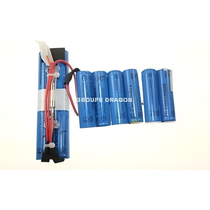 KIT BATTERIE ERGO RAPIDO pour aspirateur ELECTR…