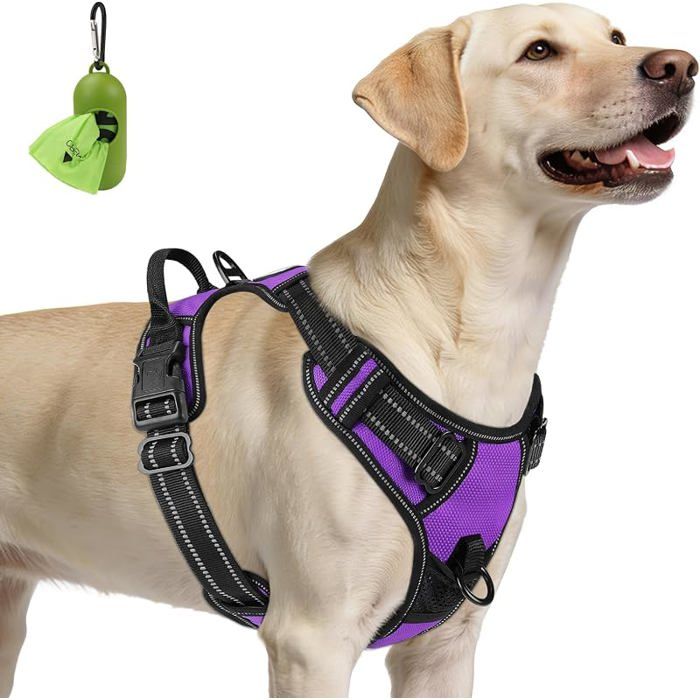 Anti Traction Harnais Grand ChienVioletL  Coupe ajustée régblerembourré Violet L (Lot de 1) L (LOT  HARNAIS DE SPORT POUR CHIEN