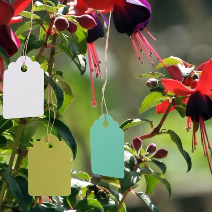 200 étiquettes à Suspendre En Plastique Blanc Pour Plantes Et Arbres 2 X 20 Cm Avec Grande Surface Ecriture Jaune 97406496