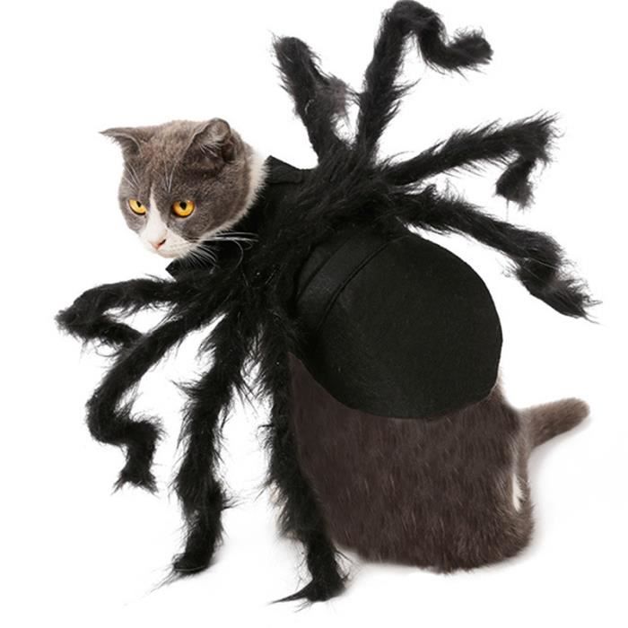 Costume de Chien AraignéE Toussaint AraignéE Costumes pour Animaux de ...