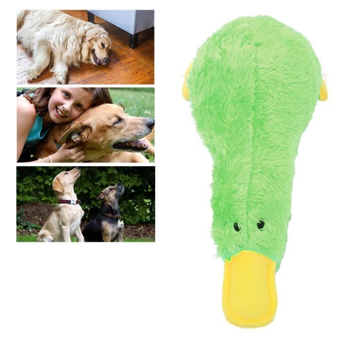 Comparer les prix de Jouet pour chien en peluche qui couine - ZERODIS - LON - Blanc - Fadeless - Chien