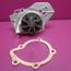 Pompe à Eau Ggt Pour Peugeot J5 19 D Achat Vente Kit De