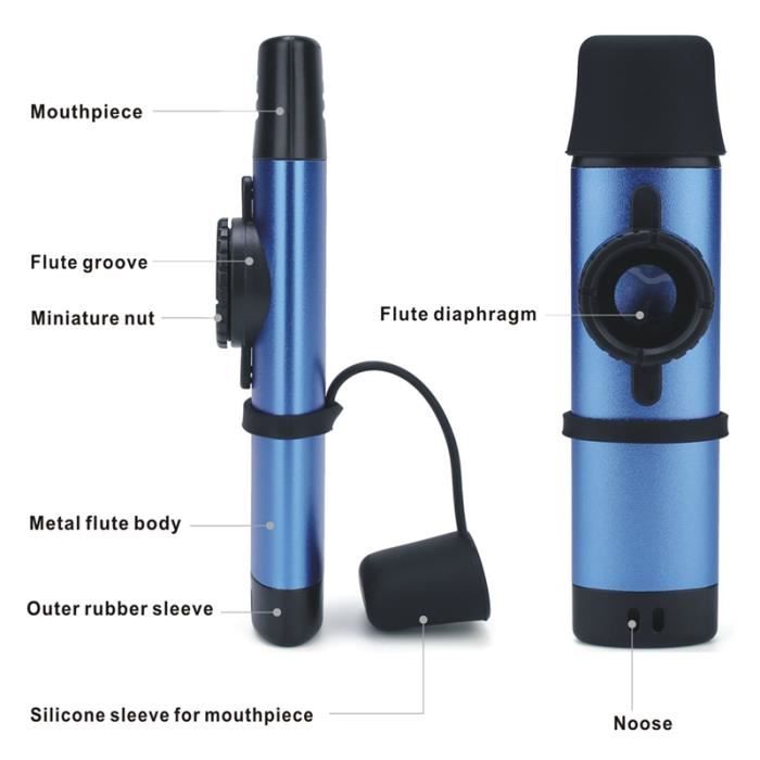 Lot De 10 Kazoos Pour Enfants En Livraison Gratuite | Économisez 30