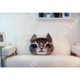 TD® Drôle 3D Cat Imprimer Coussin Coussin créatif mignon poupée en peluche cadeau Home  Joli tapis de chat.   Couleur: brun-2
