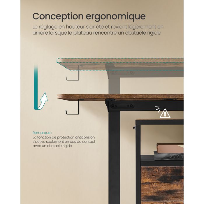 Bureau Assis-Debout Électrique Desktronic 160x80cm - Réglable Hauteur, Mémoires, Ports USB - Bois Européen