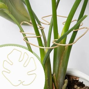 Vis à Appâts En Plastique 10 Mm – Pour Montage Carpe, Lot De 10/20/30, Transparent