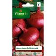 VILMORIN Oignon rouge de Brunswick-0