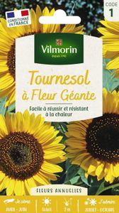 GRAINE - SEMENCE Graines de tournesol, à fleurs géantes, fleurs jaunes, Vilmorin