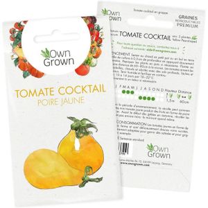 GRAINE - SEMENCE Graines de tomates cocktail en grappe Poire Jaune (Yellow Pear): Semences plant de tomate Premium en forme de poire -.[G508]