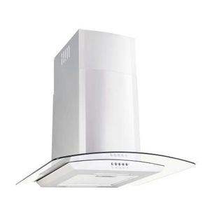 Hotte Inclinee 60cm Recyclage Achat Vente Pas Cher