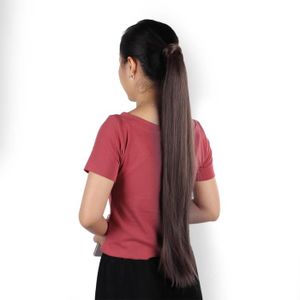 PERRUQUE - POSTICHE Pwshymi Queue de cheval d’extension de cheveux Extension de cheveux longs et lisses pour femmes, perruque queue de hygiene faux