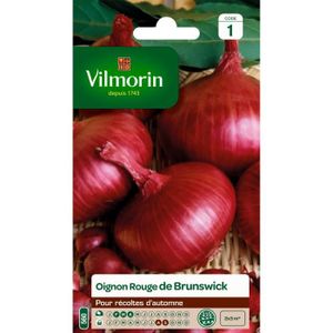 GRAINE - SEMENCE VILMORIN Oignon rouge de Brunswick