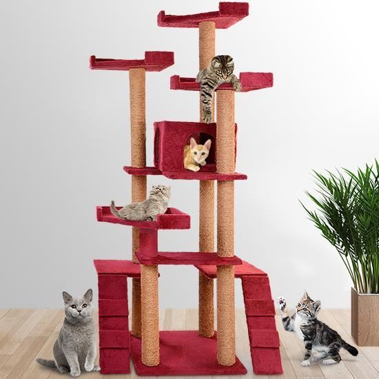 Arbre A Chat Pour Grand Chat Pas Cher Solide Geant Bordeaux Xxl 161 Cm Griffoir Grattoir Jouet Peluche Plates Formes Multiniveaux Cdiscount Animalerie Arbre A Chat Pour Grand Chat Pas Cher Solide Geant Bordeaux Xxl 161 Cm Griffoir Grattoir Jouet Peluche Plates Formes Multiniveaux Cdiscount Animalerie