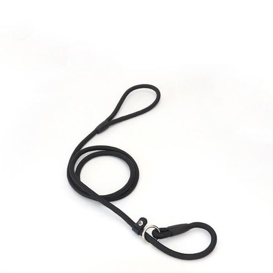 5 Ensembles La Laisse Du Collier En Nylon Avec Laisse Écharpe Pour