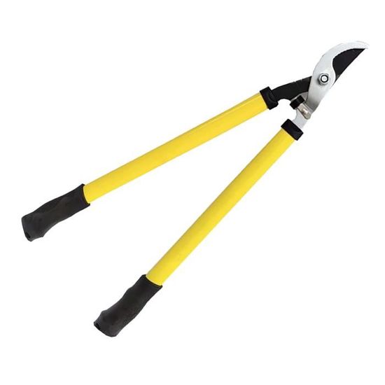 Ciseaux Élagage Bonsaï HAN-LBG - 2 Pièces Mini Cisailles - Jardinage Et Couture - 11cm