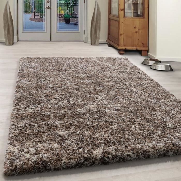 Tapis à poils longs Beige