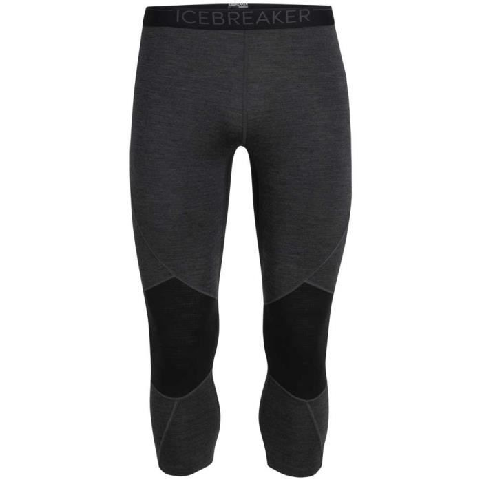 Vêtements Homme Collants Icebreaker 260 Zone Legless