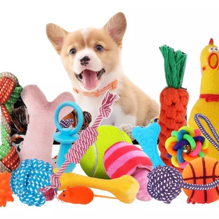 Meilleurs prix pour Ensemble de jouets pour chiens 10 pièces jouets dentraînement vocal pour animaux de compagnie