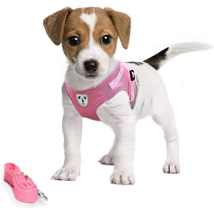 Comparer les prix de Harnais pour Petit Chien  Harnais pour Chien de Petite Taille  Harnais pour Chien sans Traction  Harnais Anti-Traction Rose  XS