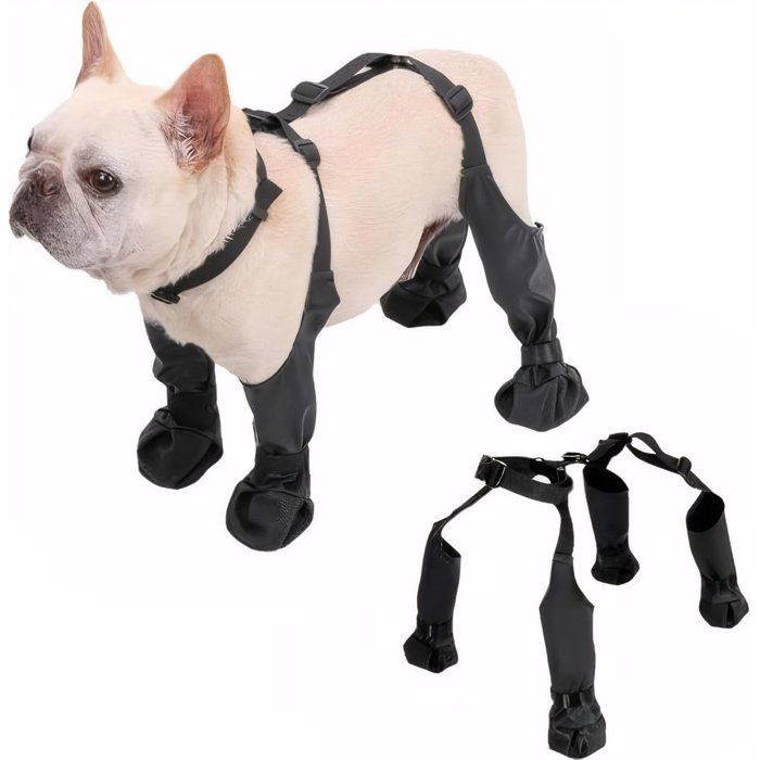 Bottes imperméables pour chiens de petite et moyenne taille - protection des pattes chaussures antidérapantes idéales pour les