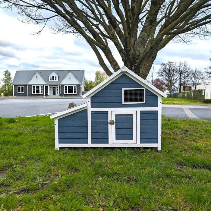 Meilleurs prix pour Poulailler Bantam XL Bleu Toit Shingle - Jusqu'à 4 Poules