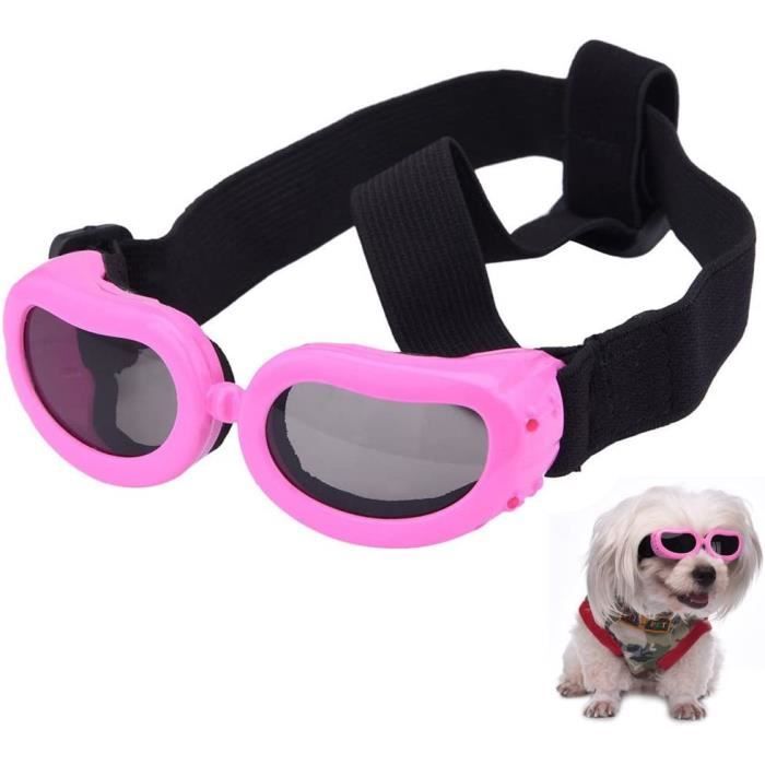 lunettes pour chien moto