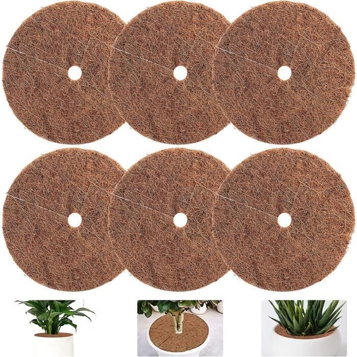 6Pcs Disque de Paillage Coco 20 cm, Tapis en Coco, Disque de Paillage Coco  de Protection d'hiver pour Plantes en Pot - Cdiscount Jardin