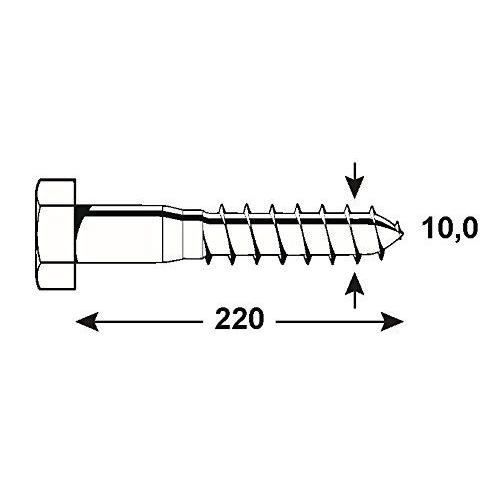 Connex Lot De 10 Tirefonds Hexagonaux Galvanisés - 10 X 200 Mm - Vis à Bois Extra Fortes - 1000g