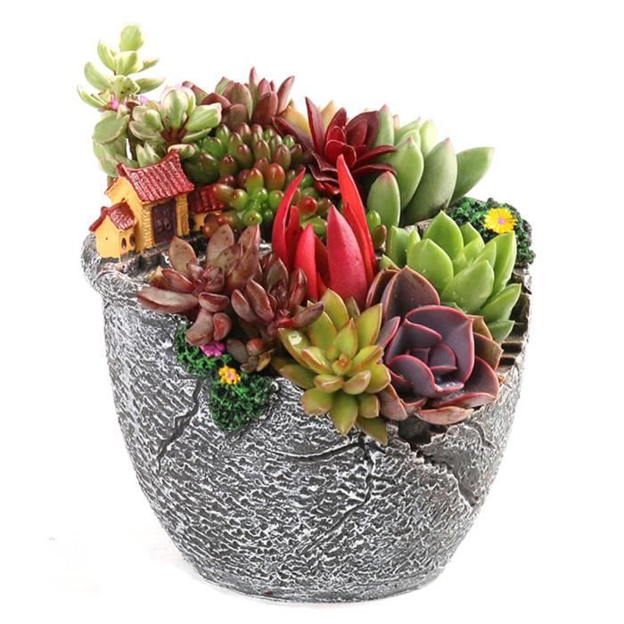 Plante Grasse Muret Pot Plante Grasse Fleur 13x10x8 5cm Petit Maison Resine Jardinage Decor Achat Vente Jardiniere Bac A Fleur Pot Plante 13x10x8 5cm Resine Cdiscount