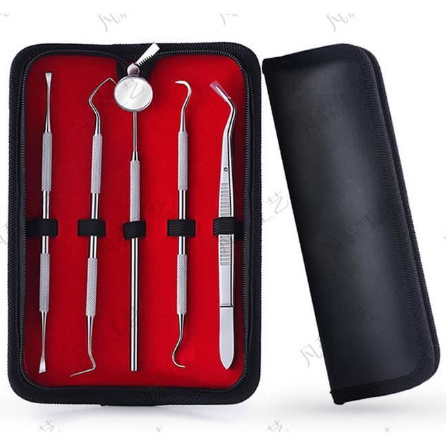5pcs - set kit d'hygiène bucco-dentaire dentaire bouche miroir faucille détartreur soin des dents outil de nettoyage avec cas-HUA