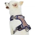 Blueberry Pet harnais pour chien réfléchissant, rembourré, sans traction, attaches laisse avant et arrière, Moyen Olive et bleu-gris-1