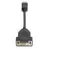 HP INC. Cable vidéo - 19,05 cm - première extrémité: 1 x 20 Aiguilles DisplayPort Mâle Audio/Vidéo numérique-1