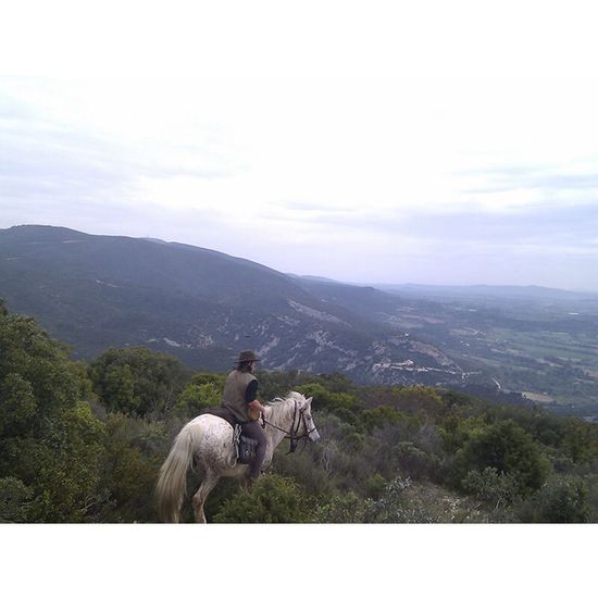 Smartbox Journee De Balade Randonnee A Cheval Ou Cours D Equitation Coffret Cadeau 11 Activites Equestres Cdiscount Au Quotidien