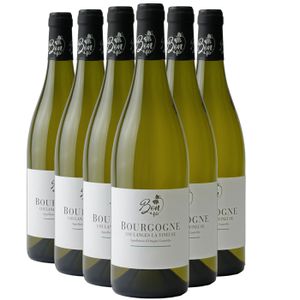 VIN BLANC Domaine Bon et Fils Bourgogne Coulanges-la-Vineuse
