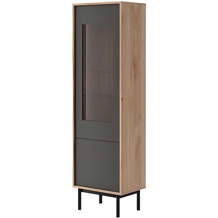 Vitrine 1 porte industrielle BASI 54 cm