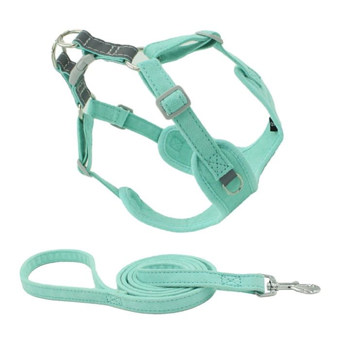 Comparer les prix de Pet Harnais Laisse Commode Harnais Pour Chien, Petit Chien, Harnais Pour Chien Accessoire Portable Harnais De Chiot