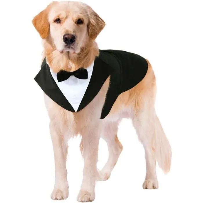 Ensemble smoking pour chien tenue formelle pour mariage et occasions spéciales adapté aux chiens de moyenne et grande taille
