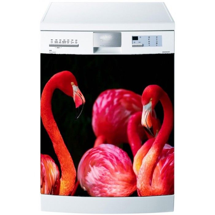 Stickers lave vaisselle Flamands rose - Déclinaisons Fond transparent