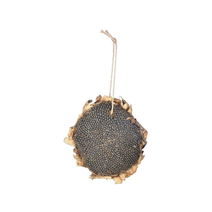 Comparer les prix de Mélange de graines - ESSCHERT DESIGN - Tournesol séché pour oiseaux - Riche en nutriments et vitamines