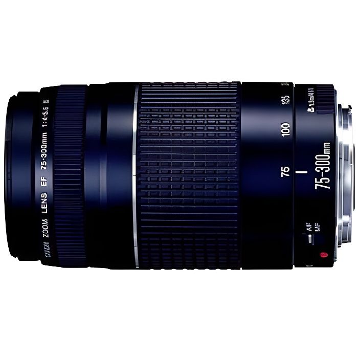 Canon EF 75-300 III f/4-5,6