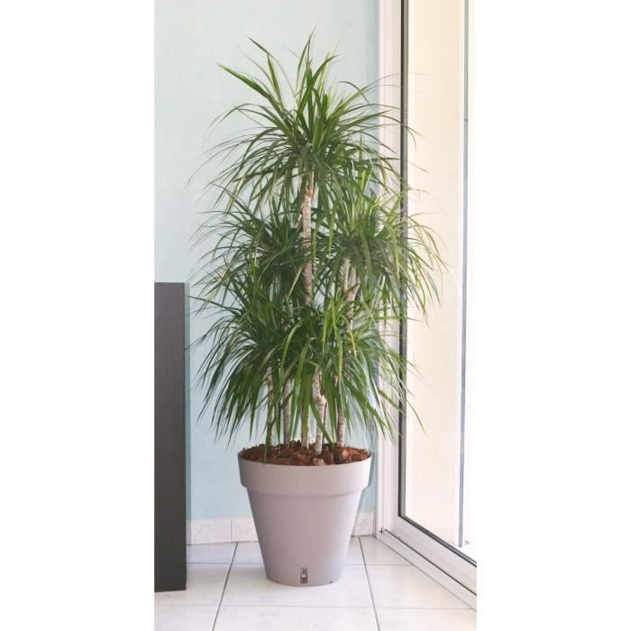 RIVIERA Pot de fleurs Loft avec réserve d'eau Rond Ø 50 x H 46 cm - vue 2