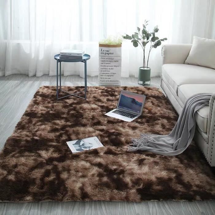 Tapis de Shaggy simple moderne duveteux salon chambre microfibre ultra douce - couleur café-160*230cm-YOLISTAR