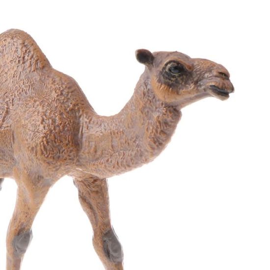 Jouet Educatif Modele A Animaux Miniatures En Plastique Cadeau D Anniversaire Pour Garcons Dromadaire M1331 Cdiscount Jeux Jouets Jouet Educatif Modele A Animaux Miniatures En Plastique Cadeau D Anniversaire Pour Garcons Dromadaire M1331 Cdiscount Jeux Jouets