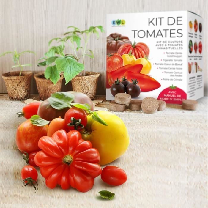 Kits Prêt À Faire Pousser Des Tomates 100% Naturelles - Kit